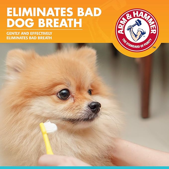 Arm & Hammer for Pets Clinical Care Dental Enzymatic Toothpaste for Dogs | Soothes Inflamed Gums | Safe for Puppies 1 Pack Fresh Breath Vanilla Ginger