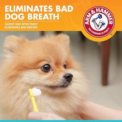 Arm & Hammer for Pets Clinical Care Dental Enzymatic Toothpaste for Dogs | Soothes Inflamed Gums | Safe for Puppies 1 Pack Fresh Breath Vanilla Ginger