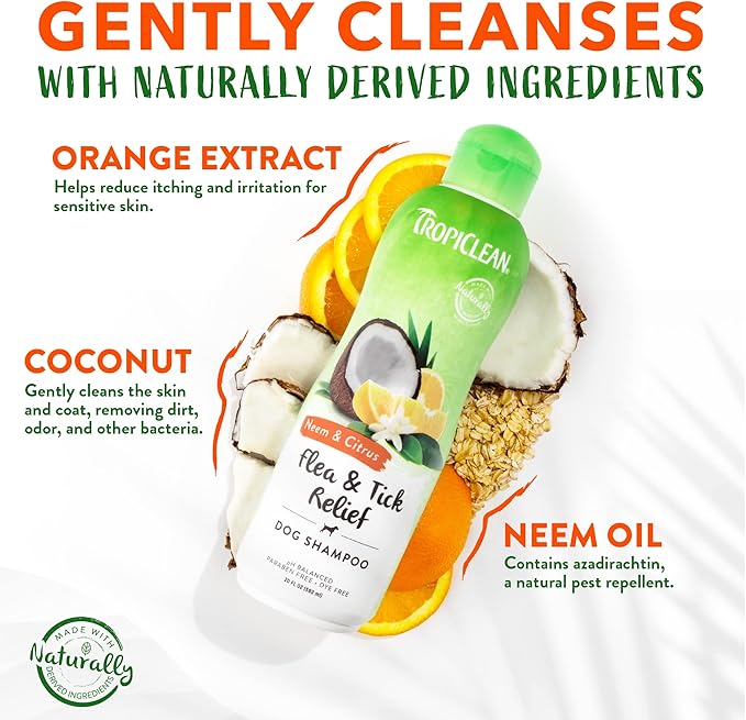 TropiClean Citrus & Neem Oil Flea Shampoo for Dogs | Tick and Flea Bite Relief for Dogs | Natural Dog Shampoo Derived from Natural Ingredients | Made in the USA | 20 oz.