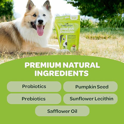 Probiotic Chews for Dogs Gut Health | Tasty Pro and Prebiotics for Dogs Digestive Health Immunity Itchy Skin & Seasonal Allergy Support with Pumpkin Dog Probiotics and Digestive Enzymes | 90 Chews