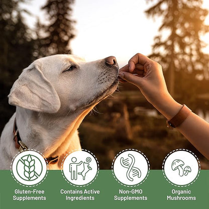 K9 Immunity Plus - Potent Immune Booster for Dogs 30-70 lbs - Certified Organic – Mushroom Enhanced Supplement - Veterinarian Recommended Dog Health Supplement - 60 Chews 2 Pack