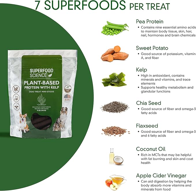 Hypoallergenic Healthy Dog Treats: Plant-Based Vegetarian Dog Treats w/Sweet Potato, Chia, Flaxseed & Coconut Oil for Skin & Coat, Gluten-Free Vegan Protein Dog Training Snack, 5 oz