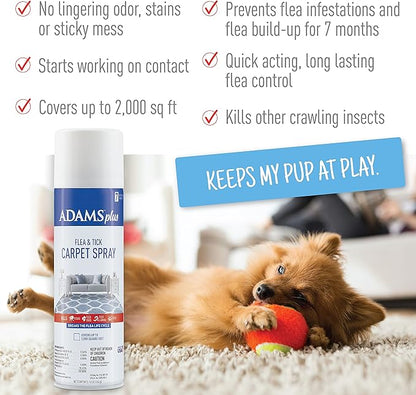 Adams Plus Carpet Spray + Flea & Tick Dog Collar