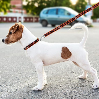 NFL PET Leash Cincinnati Bengals Dog Leash, Small Football Team Leash for Dogs & Cats. A Shiny & Colorful Cat Leash & Dog Leash Licensed by The NFL