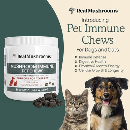 Mushroom Immune Support Pet Chews (60ct) treats for dogs – Immune booster supplements for pets with Ashwagandha, Astragalus, Blueberry, Olive Leaf, Acerola &Gut Health for Dogs and Cats
