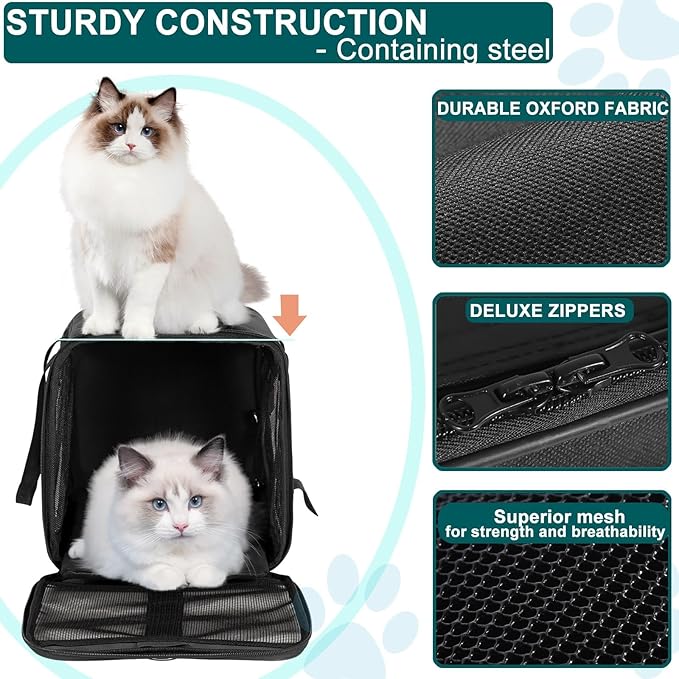 Cat Dog Pet Carrier for Medium to Large Cats (20+ lbs) and Small Dogs -Top Loading, Portable & Collapsible Cat Travel Bag Dual Kitten Sturdy Crate for Long Journeys