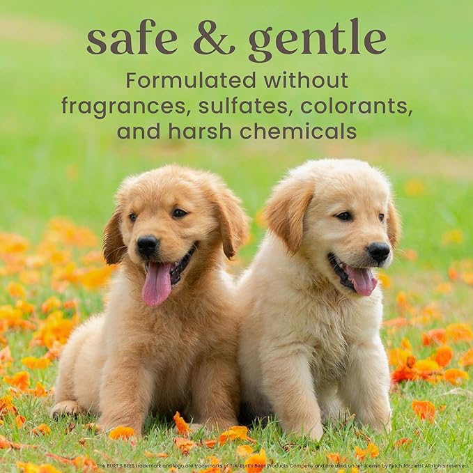 Burt's Bees for Pets Naturally Derived Itch Soothing Shampoo with Honeysuckle - Anti-Itch Dog Shampoo for All Dogs - Cruelty Free, Formulated without Sulfates and Parabens, Made in the USA, 16 Ounces