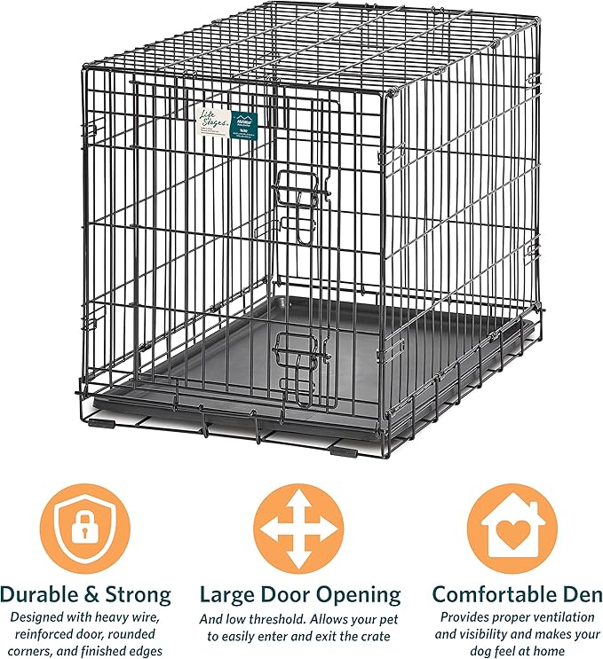 Medium Dog Crate | MidWest Life Stages 30" Folding Metal Divider Panel, Floor Protecting Feet, Plastic Tray 30L x 19W 21H Inches, Breed