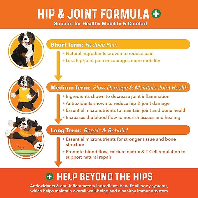 Bernie's Healthy Hips - Daily Dog Hip and Joint Supplement - 90 Soft Chews - Reduce Pain, Encourage Mobility, Slow Damage, Repair and Rebuild Hips and Joint Tissues