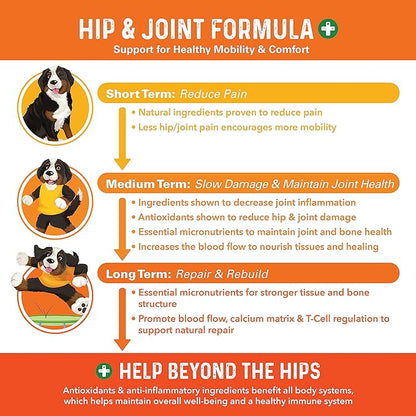 Bernie's Healthy Hips - Daily Dog Hip and Joint Supplement - 90 Soft Chews - Reduce Pain, Encourage Mobility, Slow Damage, Repair and Rebuild Hips and Joint Tissues