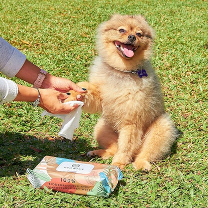 Pet Wipes, 100% Compostable Dog & Cat Grooming and Cleansing Wipes, 100 Wipes