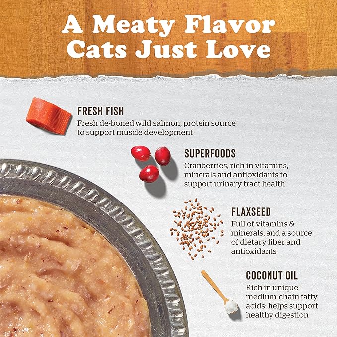 Now Fresh Grain Free Wet Cat Food, 6.4 oz - Wild Salmon Pâté with Bone Broth for Cats - Real Fish for Protein