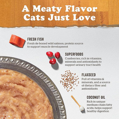 Now Fresh Grain Free Wet Cat Food, 6.4 oz - Wild Salmon Pâté with Bone Broth for Cats - Real Fish for Protein