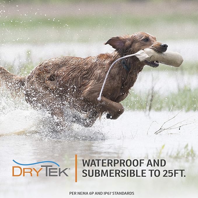 SportDOG Brand 425X Shock Collar - Remote Trainer with Extra Collar - Train 2 Dogs - 500 Yard Range Collar with Shock, Vibrate and Tone, Rechargeable - (1) Black and (1) Orange Dog Training Collars