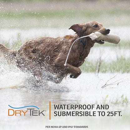 SportDOG Brand 425X Shock Collar - Remote Trainer with Extra Collar - Train 2 Dogs - 500 Yard Range Collar with Shock, Vibrate and Tone, Rechargeable - (1) Black and (1) Orange Dog Training Collars