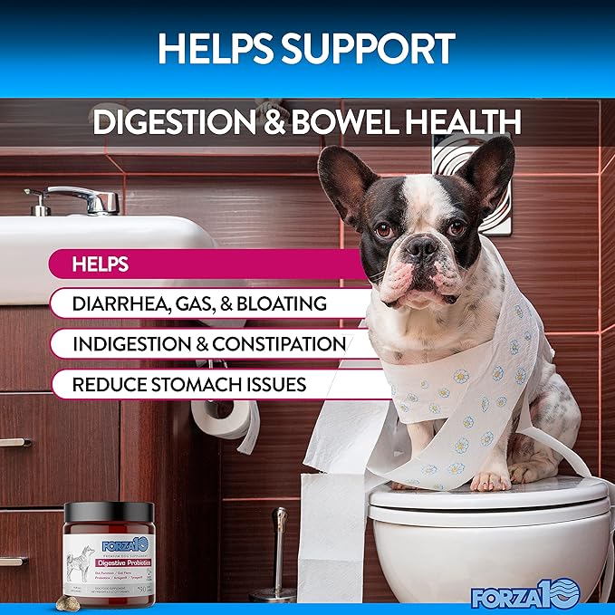 Forza10 Dog Probiotics and Digestive Enzymes Chews Supplements, Duck Flavor Probiotics for Dogs Digestive Health and Gut, Pet Probiotics for Dogs with Diarrhea, Dog Gas Relief, Upset Stomach, 90 Ct.