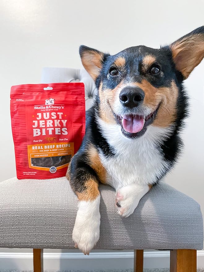 Stella & Chewy's Just Jerky Bites Real Chicken Recipe Dog Treats, 6 oz. Bag