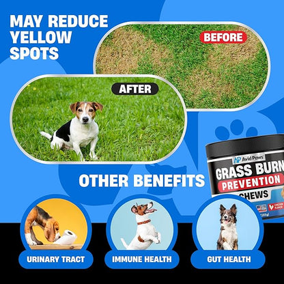 Dog Urine Neutralizer for Lawn - Green Grass Dog Chews Helps Lawn Burn from Dog Urine - Dog Pee Grass Neutralizer - Grass Savers for Dog Urine - Dog Rocks Alternative - Urinary Tract & Bladder Support