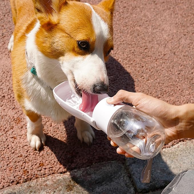 Foldable Dog Water Bottle,Portable Dog Water Dispenser,Outdoor Pet Water Bottle for Dog,Cat,Puppy,Walking,Hiking,Travel.Dishwasher Safe,Puppy Accessories,10oz