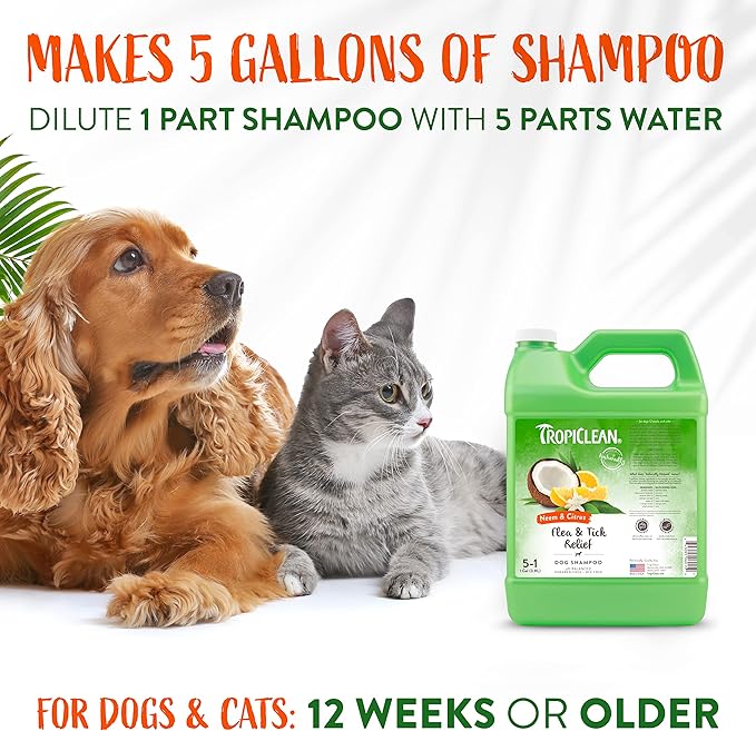 TropiClean Citrus & Neem Oil Flea Shampoo for Dogs | Tick and Flea Bite Relief for Dogs | Natural Dog Shampoo Derived from Natural Ingredients | Made in the USA | 1 gallon