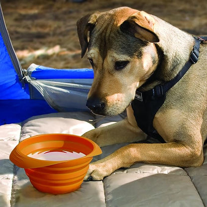 Kurgo Collaps-A-Bowl for Dogs, Collapsible Travel Dog Bowl, Pet Food & Hiking Water Bowl, Food Grade Bowl for Dogs, Travel Accessories for Pets, includes Carabiner (24 oz, Orange)
