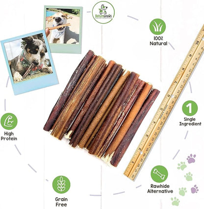Nature Gnaws Bully Sticks for Large Dogs - Premium Natural Beef Dental Bones - Thick Long Lasting Dog Chew Treats for Aggressive Chewers - Rawhide Free - 6 Inch (10 Count)