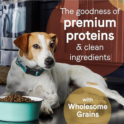 CANIDAE Pure Limited Ingredient Premium Adult Dry Dog Food, Real Beef & Barley Recipe, 22 lbs, with Wholesome Grains