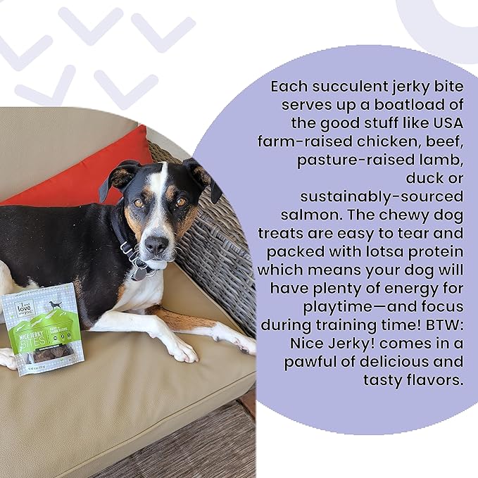 I and love and you Nice Jerky Bites - Chicken + Duck - Grain Free, Real Beef, Training Treat, Chewy Dog Treats, Filler Free, 4oz