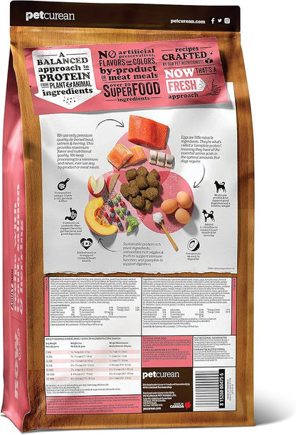 Now Fresh Grain Free Dog Food, 22 lb - Dry Dog Food Fish Recipe for Adult Dogs - Real De-Boned Fish for Protein - Healthy Diet for Small, Medium and Large Breed