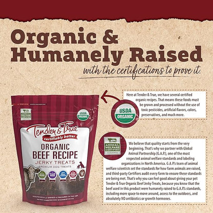 Tender & True Pet Nutrition Organic Beef Jerky Treats (71005)
