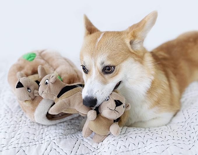 Outward Hound Squeakin' Squirrels Plush Replacement Dog Toys - 3 Pack