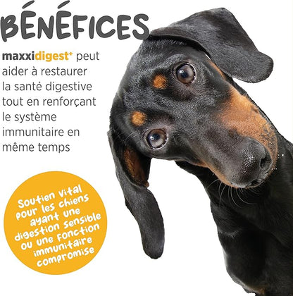 maxxidigest+ Probiotics, Prebiotics and Digestive Enzymes - Digestive and Immune Support Supplement for Dogs – 7 oz