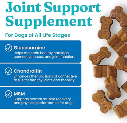 Solid Gold Glucosamine for Dogs Hip and Joint Supplement - Glucosamine Chondroitin MSM for Dog Pain Relief - Leaps & Hounds Chews for Dog Arthritis Pain Relief & Overall Mobility - 120 Soft Chews