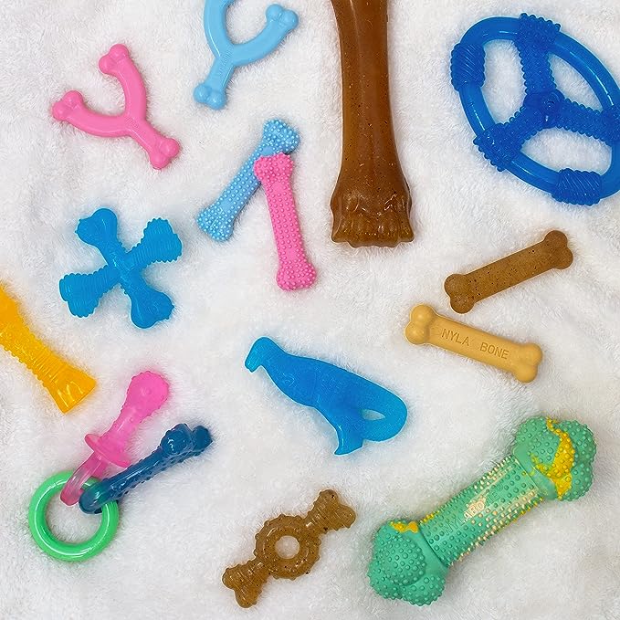 Nylabone Puppy Ring Bone Chew Toy - Puppy Chew Toys for Teething - Puppy Supplies - Chicken Flavor, Small/Petite (1 Count)