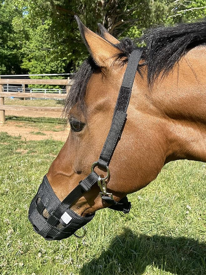 Grazing Muzzle Comfort Lined (Size Choice Pony, Arab Cob Small Quarter Horse, or Horse) Heavy Duty Waffle Neoprene Lining