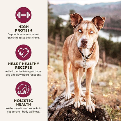 Only Natural Pet MaxMeat Holistic Air Dried Dry Dog Food - All Natural, High Protein, Grain Free and Limited Ingredient - Made with Real Meat - Beef with Pumpkin & Parsley 2 lb