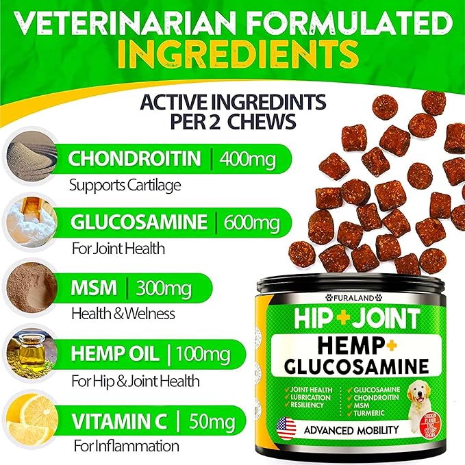 Hemp Hip and Joint Supplement for Dogs - Glucosamine for Dogs - 170 Dog Joint Pain Relief Treats - Chondroitin, Hemp Oil, MSM - Mobility & Flexibility Support - Advanced Joint Health - Made in USA