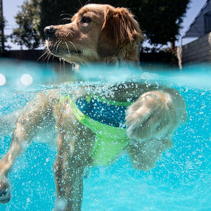 Outward Hound Standley Sport Green Performance Dog Life Jacket, Medium
