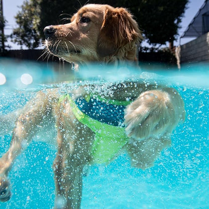 Outward Hound Standley Sport Green Performance Dog Life Jacket, Large