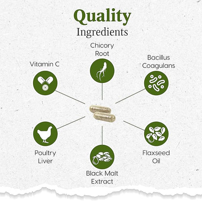 Ark Naturals Gentle Digest Capsules, Vet Recommended Prebiotics and Probiotics to Support Intestinal Balance and Immune System Health in Dogs and Cats, Natural Ingredients, 60 Count