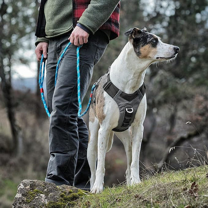Kurgo Journey Air Dog Harness, Vest Harnesses for Dogs, Pet Hiking Harness for Running & Walking, Reflective, Padded, includes Control Handle, No Pull Front Clip (Black, Small)