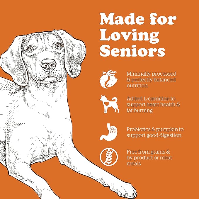 Now Fresh Grain Free Dog Food, 3.5 lb - Dry Dog Food Senior Recipe for Dogs - Real Meat and Fish for Protein - Healthy Diet for Small, Medium and Large Breed