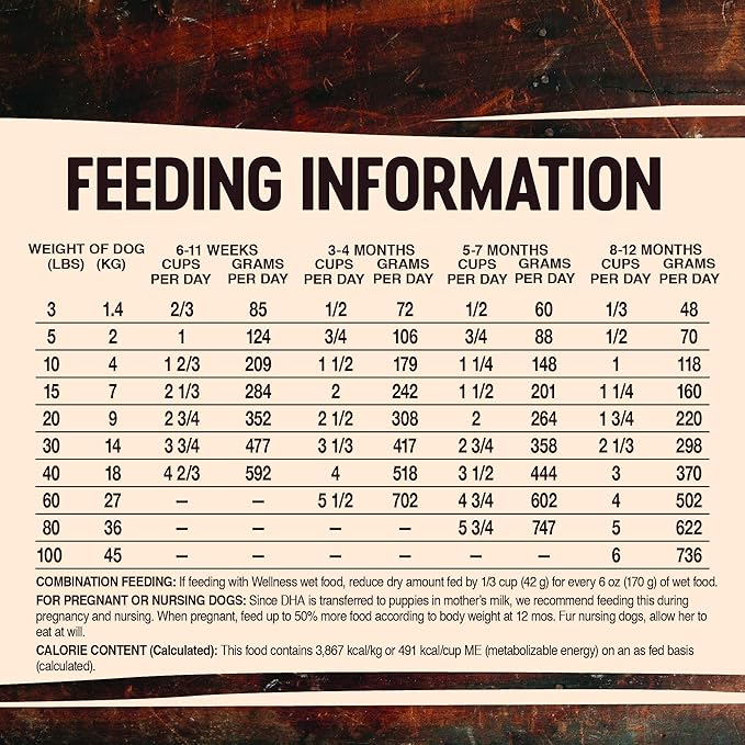 Wellness CORE Natural Grain Free Dry Dog Food, Puppy, 4-Pound Bag