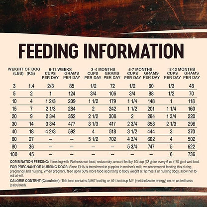 Wellness CORE Natural Grain Free Dry Dog Food, Puppy, 4-Pound Bag