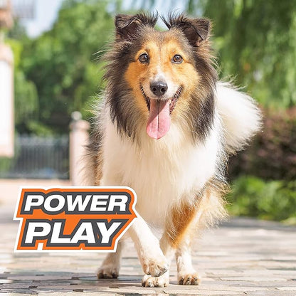 Nylabone POWER PLAY Interactive Fetch Toys for Dogs l Enrichment Dog Toys for the Ultimate Playtime Experience