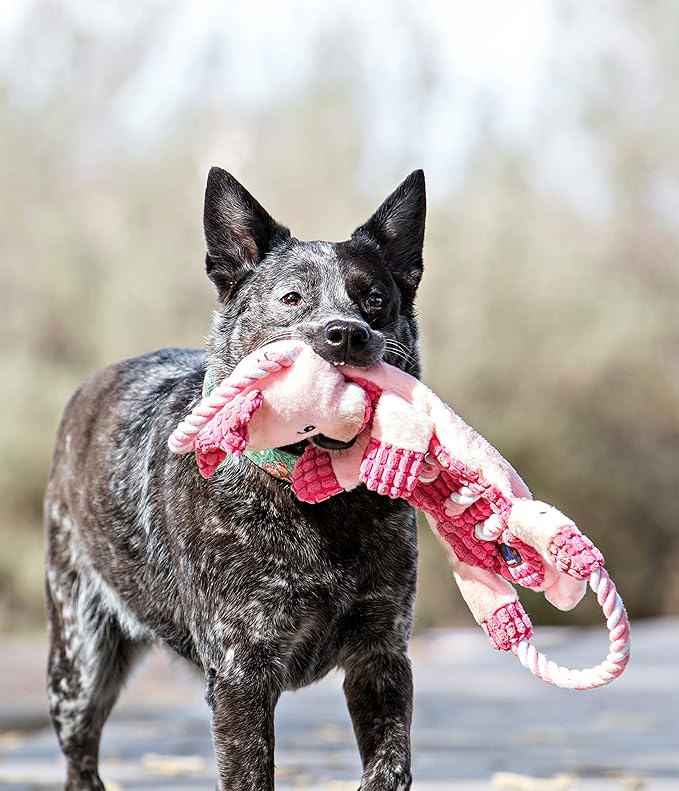 Outward Hound Ropes-A-Go-Go Gator Interactive Plush Squeaky Dog Tug Toy