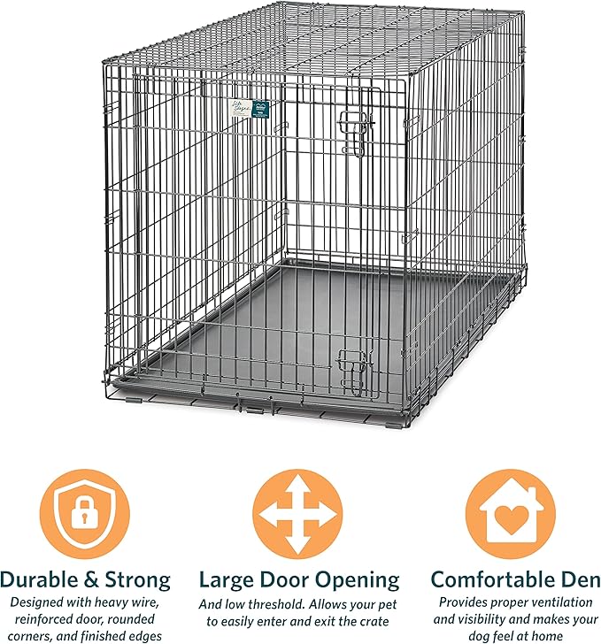 MidWest Homes for Pets XL Dog Crate | MidWest Life Stages Folding Metal Crate | Divider Panel, Floor Protecting Feet, Leak-Proof Pan | 48L x 30W x 33H Inches, XL Dog Breed