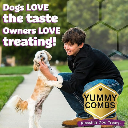 Dental Treats for Dogs | Vet VOHC Approved | Yummy Dog Treats for Teeth Cleaning | Shape to Scrape Tartar | Dental Dog Treats for Large Dogs (24oz, 18 Count)