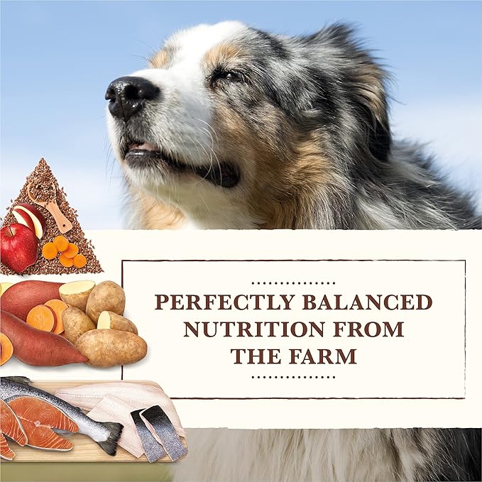 Whole Earth Farms Natural Grain Free Dry Kibble, Wholesome And Healthy Dog Food, Salmon And Whitefish Recipe - 25 LB Bag