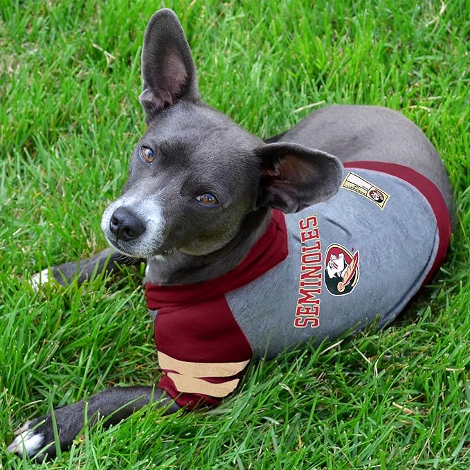 Pets First Hoodie for Dogs & Cats, Large. | Collegiate Licensed Dog Hoody Tee Shirt | Sports Hoody T-Shirt for Pets | College Sporty Dog Hoodie Shirt.
